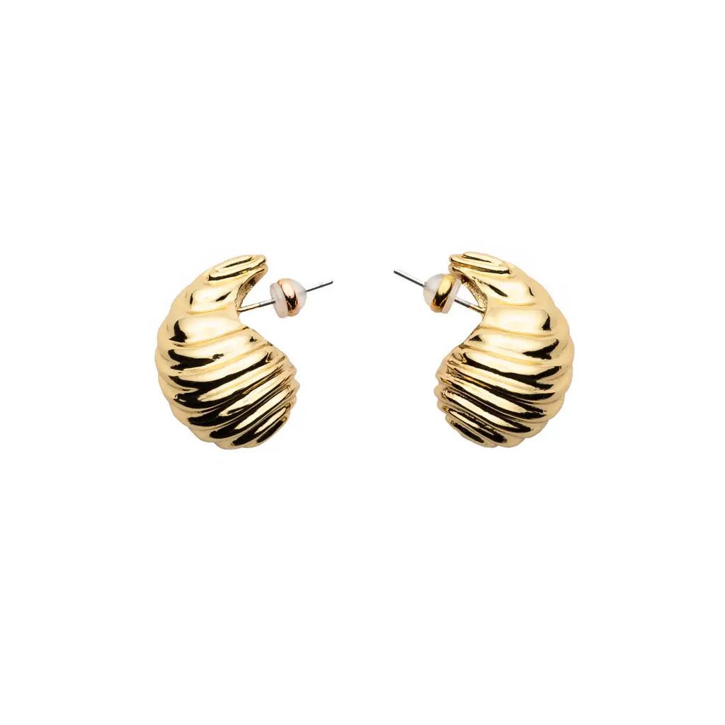 Shell Drop Earrings