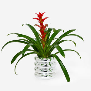 Stacking Planter Tall - Chrome