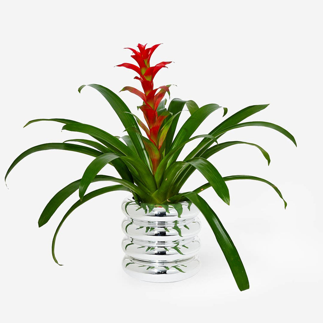 Stacking Planter Tall - Chrome