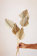 Spade Palm Fronds