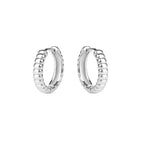 Fortune Huggie Earrings