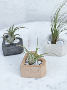 Heart concrete holder