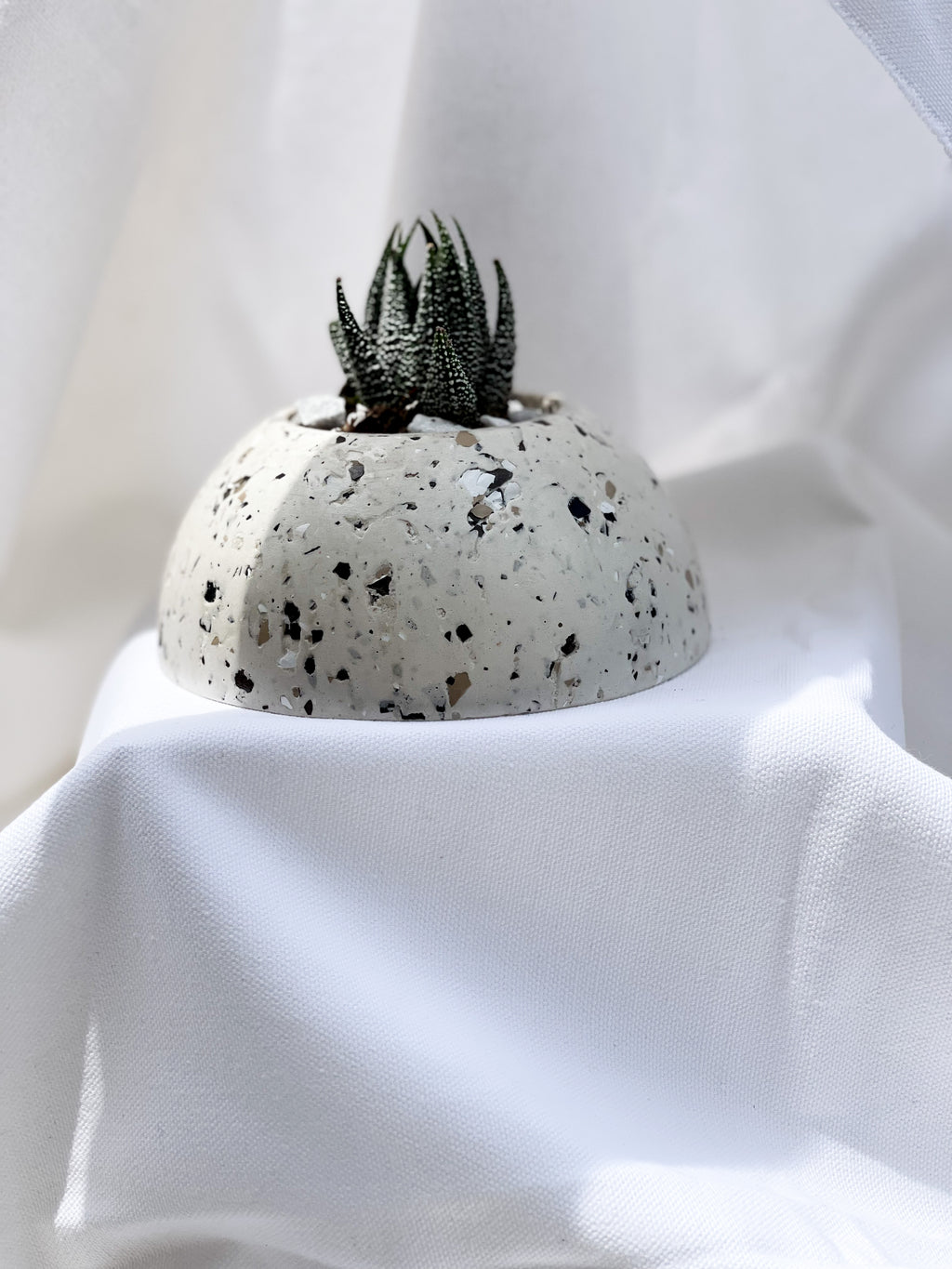 Mountain Terrazzo Planter w/plant