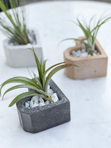 Heart concrete holder